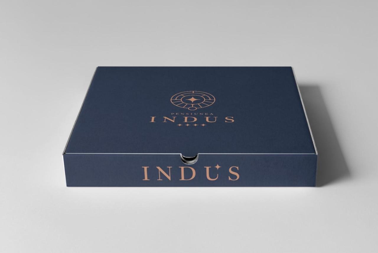 Pensiune Restaurant Indus Ocna Sibiului Esterno foto