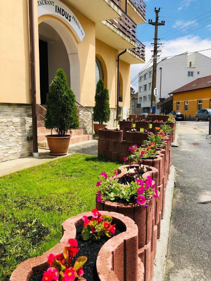 Pensiune Restaurant Indus Ocna Sibiului Esterno foto